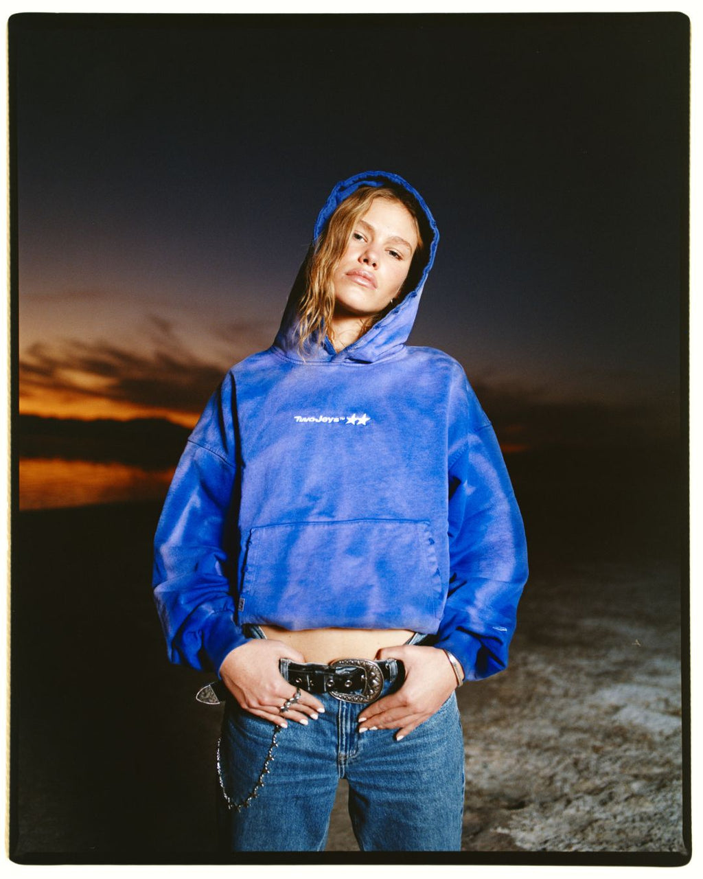 Sun Faded Purple Icon Hoodie